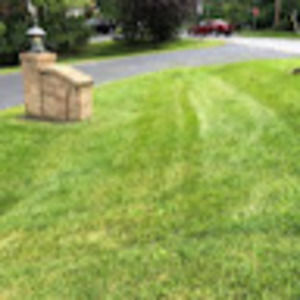 Meet your Posher, Brayden